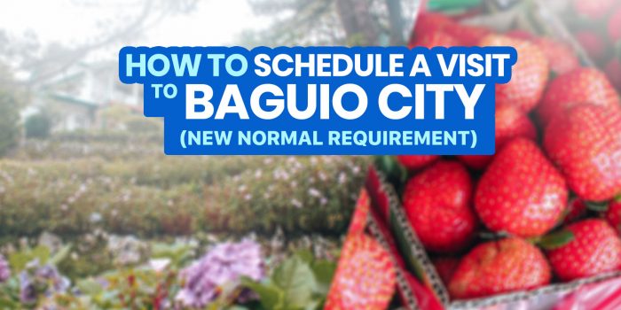 How to SCHEDULE A VISIT via BAGUIO VISITA + Step-by-Step Online Guide
